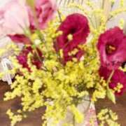 ヒメ日記 2025/07/20 16:39 投稿 しずか 鹿児島ちゃんこ霧島店