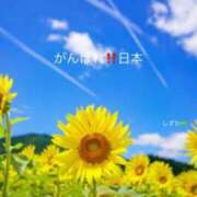 ヒメ日記 2025/07/20 19:38 投稿 しずか 鹿児島ちゃんこ霧島店