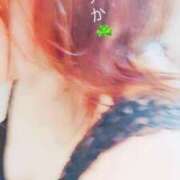 ヒメ日記 2025/07/24 09:29 投稿 しずか 鹿児島ちゃんこ霧島店