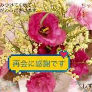 ヒメ日記 2025/07/24 16:29 投稿 しずか 鹿児島ちゃんこ霧島店