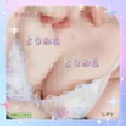 ヒメ日記 2025/07/29 17:59 投稿 しずか 鹿児島ちゃんこ霧島店