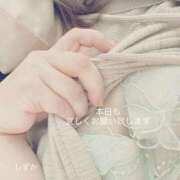 ヒメ日記 2025/07/31 10:29 投稿 しずか 鹿児島ちゃんこ霧島店