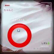 ヒメ日記 2025/08/02 09:29 投稿 しずか 鹿児島ちゃんこ霧島店