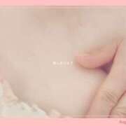 ヒメ日記 2025/08/04 10:29 投稿 しずか 鹿児島ちゃんこ霧島店