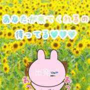 ヒメ日記 2025/08/05 09:39 投稿 しずか 鹿児島ちゃんこ霧島店