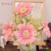 ヒメ日記 2025/08/13 13:19 投稿 しずか 鹿児島ちゃんこ霧島店