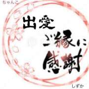 ヒメ日記 2025/08/17 18:59 投稿 しずか 鹿児島ちゃんこ霧島店