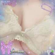 ヒメ日記 2025/08/18 10:49 投稿 しずか 鹿児島ちゃんこ霧島店