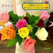 ヒメ日記 2025/08/20 11:31 投稿 しずか 鹿児島ちゃんこ霧島店