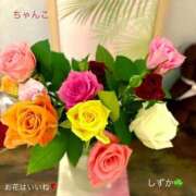 ヒメ日記 2025/08/22 08:09 投稿 しずか 鹿児島ちゃんこ霧島店