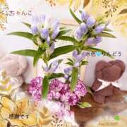 ヒメ日記 2025/08/25 17:39 投稿 しずか 鹿児島ちゃんこ霧島店