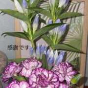 ヒメ日記 2025/08/30 16:59 投稿 しずか 鹿児島ちゃんこ霧島店