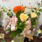 ヒメ日記 2025/09/07 17:59 投稿 しずか 鹿児島ちゃんこ霧島店