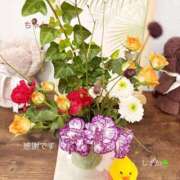 ヒメ日記 2025/09/12 17:59 投稿 しずか 鹿児島ちゃんこ霧島店