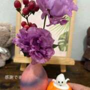 ヒメ日記 2025/10/04 07:50 投稿 しずか 鹿児島ちゃんこ霧島店