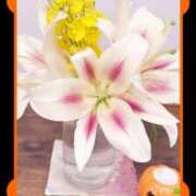 ヒメ日記 2025/10/29 18:19 投稿 しずか 鹿児島ちゃんこ霧島店