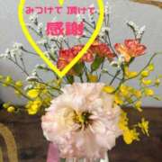 ヒメ日記 2025/11/03 10:59 投稿 しずか 鹿児島ちゃんこ霧島店