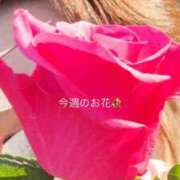 ヒメ日記 2025/11/08 08:39 投稿 しずか 鹿児島ちゃんこ霧島店