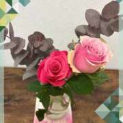 ヒメ日記 2025/11/08 20:20 投稿 しずか 鹿児島ちゃんこ霧島店