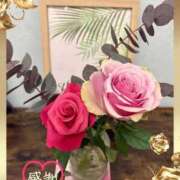 ヒメ日記 2025/11/13 11:39 投稿 しずか 鹿児島ちゃんこ霧島店