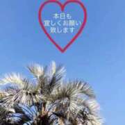 ヒメ日記 2025/11/22 10:09 投稿 しずか 鹿児島ちゃんこ霧島店