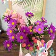 ヒメ日記 2025/11/22 16:09 投稿 しずか 鹿児島ちゃんこ霧島店