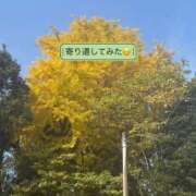 ヒメ日記 2025/11/25 12:39 投稿 しずか 鹿児島ちゃんこ霧島店