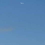 ヒメ日記 2025/11/27 02:49 投稿 しずか 鹿児島ちゃんこ霧島店