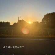 ヒメ日記 2025/11/28 17:09 投稿 しずか 鹿児島ちゃんこ霧島店