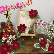 ヒメ日記 2025/12/03 18:39 投稿 しずか 鹿児島ちゃんこ霧島店