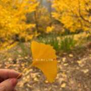 ヒメ日記 2025/12/03 22:19 投稿 しずか 鹿児島ちゃんこ霧島店