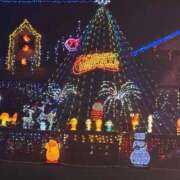 ヒメ日記 2025/12/06 20:19 投稿 しずか 鹿児島ちゃんこ霧島店