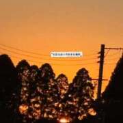 ヒメ日記 2025/12/16 17:29 投稿 しずか 鹿児島ちゃんこ霧島店