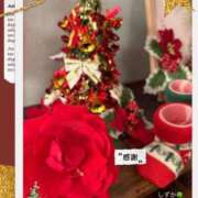 ヒメ日記 2025/12/19 12:29 投稿 しずか 鹿児島ちゃんこ霧島店