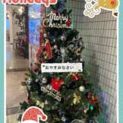 ヒメ日記 2025/12/20 03:39 投稿 しずか 鹿児島ちゃんこ霧島店