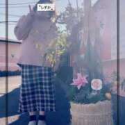 ヒメ日記 2025/12/29 19:39 投稿 しずか 鹿児島ちゃんこ霧島店