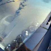 ヒメ日記 2026/01/09 08:49 投稿 しずか 鹿児島ちゃんこ霧島店