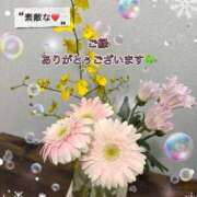 ヒメ日記 2026/01/14 12:39 投稿 しずか 鹿児島ちゃんこ霧島店