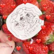 ヒメ日記 2026/01/15 12:59 投稿 しずか 鹿児島ちゃんこ霧島店