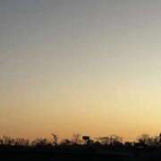 ヒメ日記 2026/01/17 20:19 投稿 しずか 鹿児島ちゃんこ霧島店