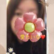 ヒメ日記 2026/01/20 16:19 投稿 しずか 鹿児島ちゃんこ霧島店