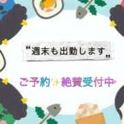 ヒメ日記 2026/01/29 03:19 投稿 しずか 鹿児島ちゃんこ霧島店