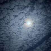 ヒメ日記 2026/02/04 00:59 投稿 しずか 鹿児島ちゃんこ霧島店