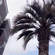 ヒメ日記 2026/02/11 11:19 投稿 しずか 鹿児島ちゃんこ霧島店