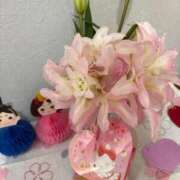 ヒメ日記 2026/02/13 19:00 投稿 しずか 鹿児島ちゃんこ霧島店