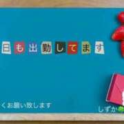 ヒメ日記 2026/02/14 15:59 投稿 しずか 鹿児島ちゃんこ霧島店