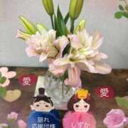 ヒメ日記 2026/02/16 16:39 投稿 しずか 鹿児島ちゃんこ霧島店