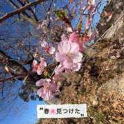 ヒメ日記 2026/02/21 11:09 投稿 しずか 鹿児島ちゃんこ霧島店