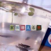 ヒメ日記 2026/02/24 08:29 投稿 しずか 鹿児島ちゃんこ霧島店