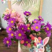 ヒメ日記 2026/03/07 22:19 投稿 しずか 鹿児島ちゃんこ霧島店